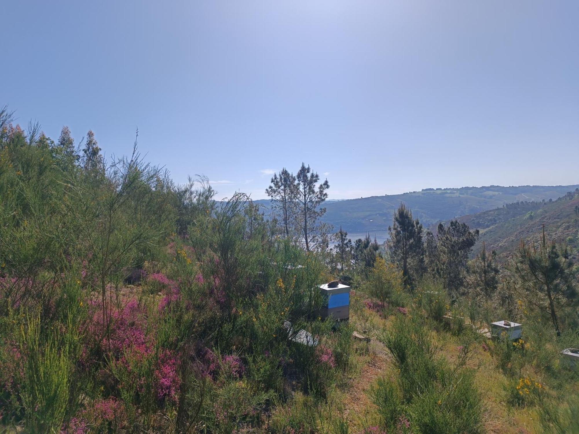 Casa Grande De Covas-Apartamentos Turisticos Taboada Zewnętrze zdjęcie