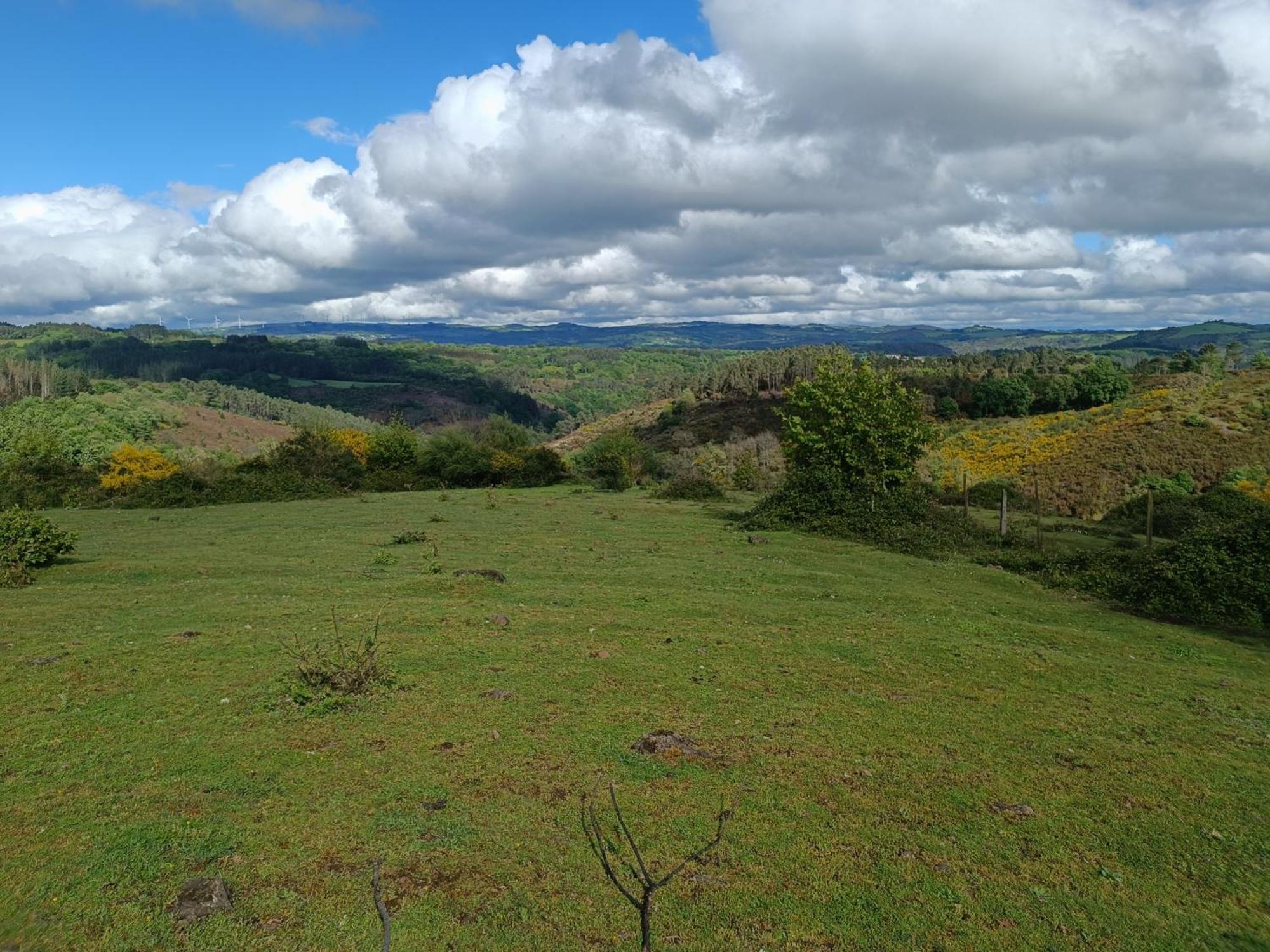 Casa Grande De Covas-Apartamentos Turisticos Taboada Zewnętrze zdjęcie