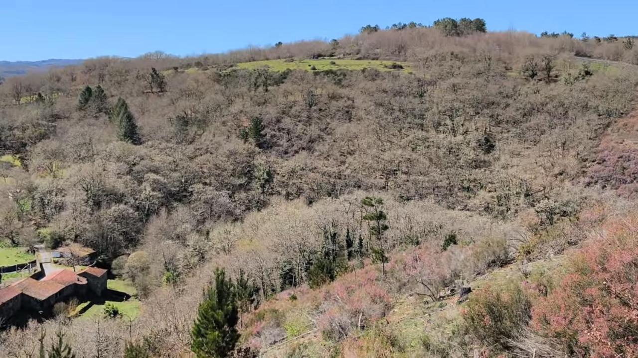 Casa Grande De Covas-Apartamentos Turisticos Taboada Zewnętrze zdjęcie